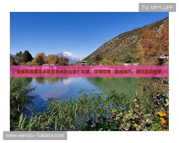 篮球APP彩票数字高频玩法防骗避坑指南 篮球APP彩票数字高频玩法防骗避坑指南